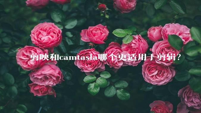 剪映和camtasia哪个更适用于剪辑？